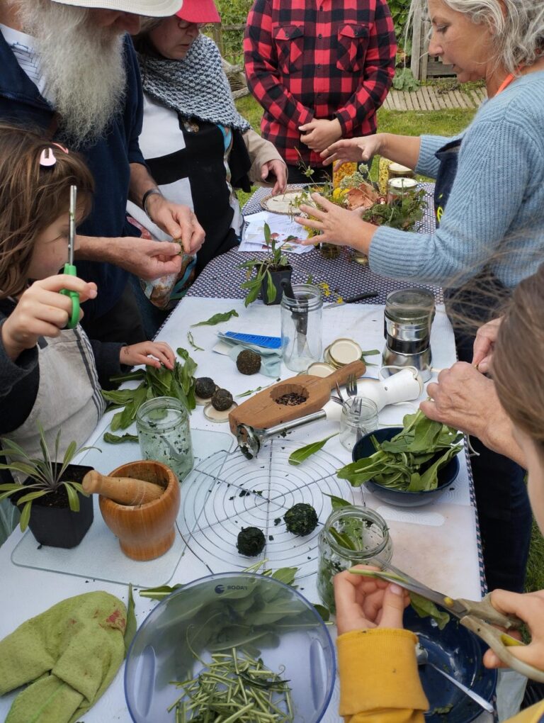 Atelier temps libre - Plantes tinctoriales 1