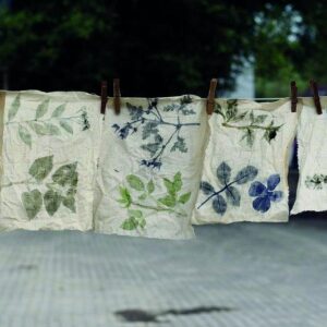 Atelier temps libre - jeudi 20 août 2026 - Les plantes tinctoriales