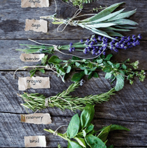 Atelier temps libre - jeudi 22 janvier 2026 - Apprenti(e) herbaliste