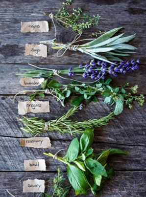 Atelier temps libre - jeudi 22 janvier 2026 - Apprenti(e) herbaliste