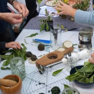 Atelier temps libre - jeudi 20 août 2026 - Les plantes tinctoriales