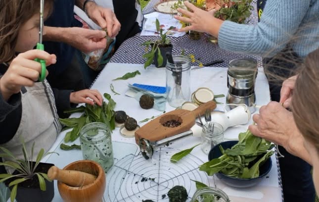Atelier temps libre – Les plantes tinctoriales