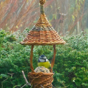 Atelier temps libre - jeudi 26 février 2026 - Hiver douillet pour oiseaux de jardin